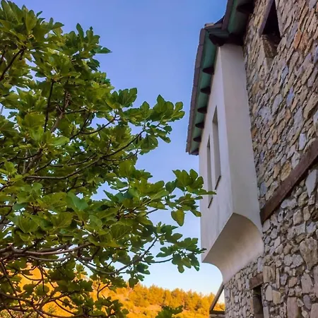 Petradi House Vakantiehuis Alikí